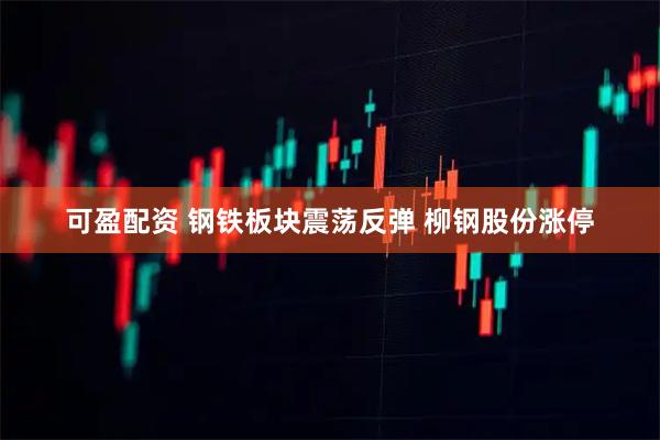 可盈配资 钢铁板块震荡反弹 柳钢股份涨停