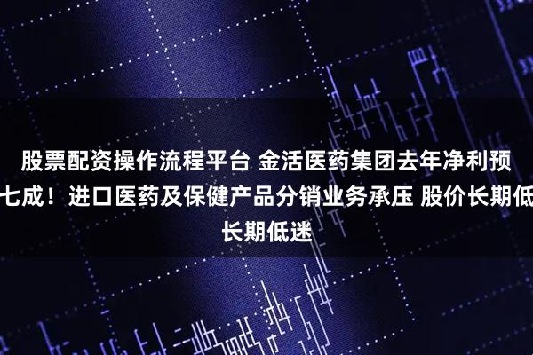 股票配资操作流程平台 金活医药集团去年净利预降七成！进口医药及保健产品分销业务承压 股价长期低迷